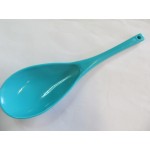 Spoon